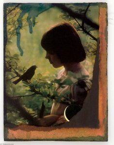 Untitled (girl In Woods Looking At Bird On Tree Branch) — Joseph Cornell