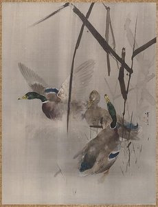 Ducks In The Rushes — Watanabe Seitei