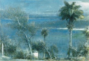 Moonlight At Port Antonio, Jamaica — Albert Goodwin, Impressionism