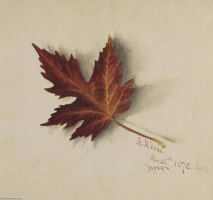 Untitled (autumn Leaf) — Mary Morris Vaux Walcott