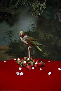 De La Serie — Dulce Pinzón