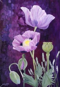 Purple Poppies
