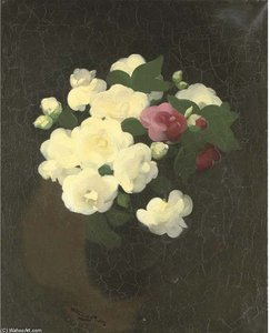 Pink And Yellow Camellias