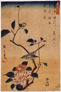 Camellia And Bush Warbler — Ando Hiroshige, Ukiyo-e