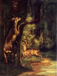 Male And Female Deer In The Woods — Gustave Courbet, Contemporary Realism