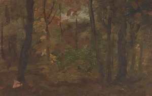 A View In A Wood — David Octavius Hill