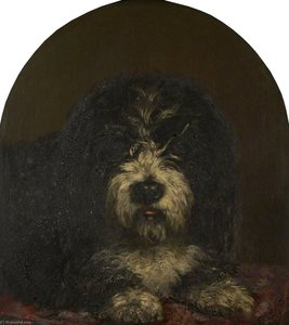 Head of a Dog