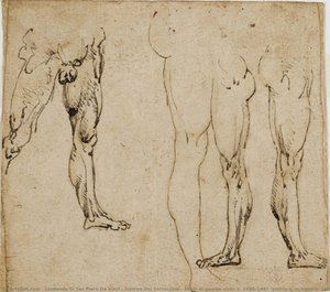 Studi di gambe virili, c. 1485-1487 (penna e inchiostro, con tracce di punta metallica su carta)
