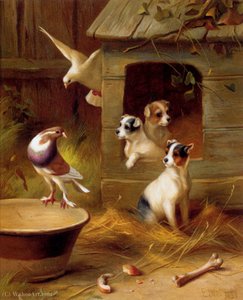 Pigeons and puppies