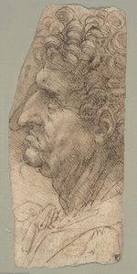 Head Of A Man Facing To The Left — Leonardo Da Vinci, High Renaissance