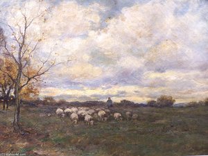 Grazende Schapen