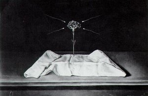 Mystical Carnation — Salvador Dalí