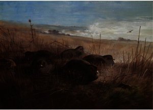 A Moonlight Night In The Open, Grey Partridges — Archibald Thorburn