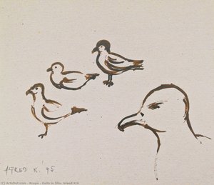 Gulls In Šilo, Island Krk — Krupa, Contemporary Realism