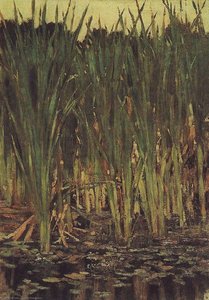 Sedge — Victor Vasnetsov