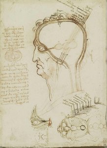 A Study Of Clouds — Leonardo Da Vinci, Renaissance Sketching