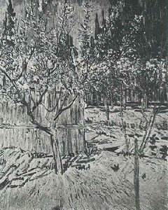 Apricot Trees In Blossom — Vincent Willem Van Gogh, Post-impressionism