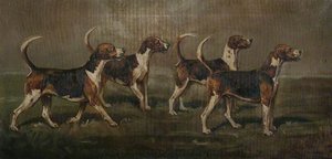 Quorn Hounds, 'Batsman', 'Baffler', 'Weaver' and 'Batchelor'