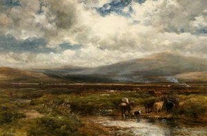 A scottish moor