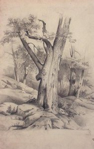 Oak — Aleksey Savrasov