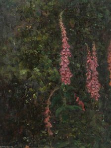 Foxgloves — Benjamin Haughton