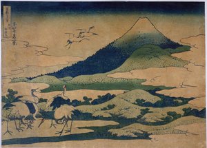 Umezawa In Sagami Province — Katsushika Hokusai