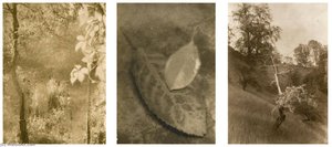 Window Of My Studio (i) The Coming Of Autumn (ii) And Tree (iii) — Josef Sudek