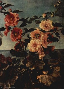 Flowers and fruits