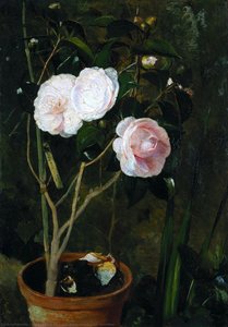 Vase With Camellias — António José Da Costa Silva