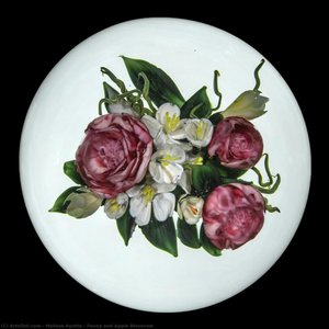 Peony And Apple Blossoms — Melissa Ayotte