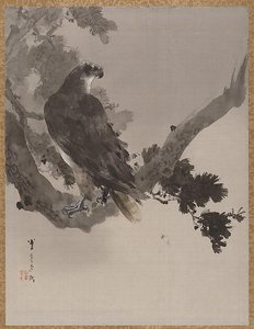 Eagle In A Tree — Watanabe Seitei