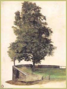 Tilo On The Cantilever Of A Bastion — Albrecht Dürer