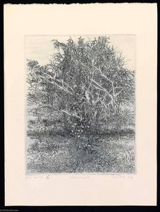 Everywhere That Universe, Artist's Proof 6 — Gabor Peterdi