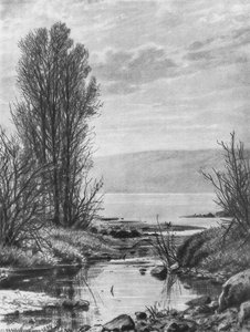 Lakeshore — Ivan Ivanovich Shishkin