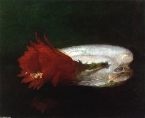 Shell And Flower — John La Farge
