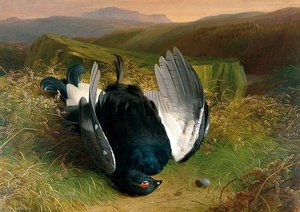 Still Life, Dead Game — Abel Hold