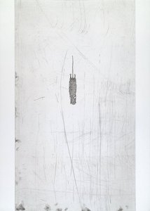 Untitled from White Mammals (5)