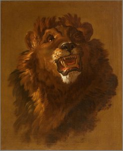 Lion — Giuseppe Baldrighi