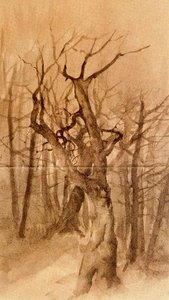 Trees In Winter — Ovidio Murguía De Castro, Other