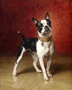 A French Bulldog — Carl Reichert