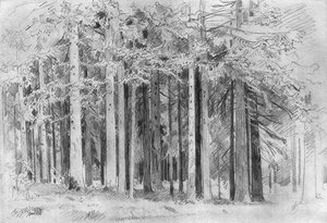 Forest (10) — Ivan Ivanovich Shishkin, Realism