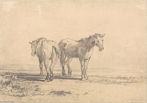 Two Old Horses Standing In A Field — John Sell Cotman