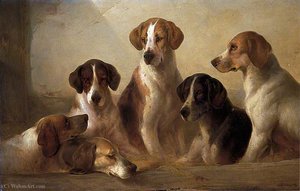 Hounds