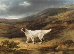 A Pointer On A Moor — John Frederick Herring Senior