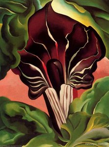 Jack In The Pulpit Ii — Georgia O'keeffe