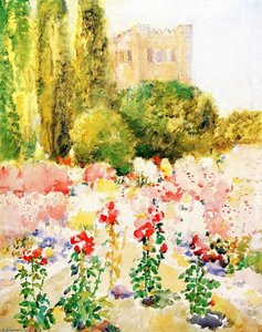 Flowering Field, Ithaca, New York — Annie G Sykes