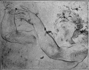 Laughing, Gesturing Youth — Carlo Cignani