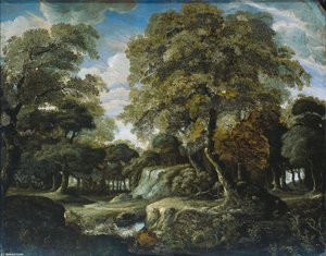 View In The Woods — Jan Van Der Heyden