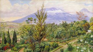 Der Gader-vulkan, Java, Von Sindang Laya Aus — Marianne North