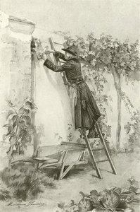 Abbe Constantin